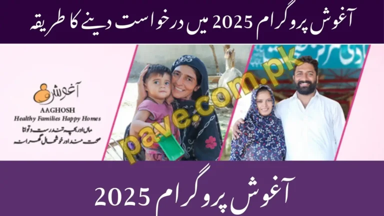 Aghosh Program vs Ehsaas Program October 2025 Which is Better for Mothers 2 Aghosh Program vs Ehsaas Program 2025 Which is