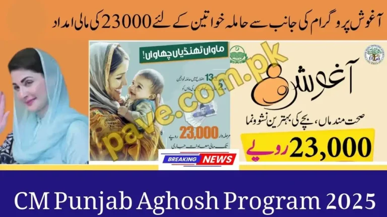 CM Punjab Aghosh Program 2025