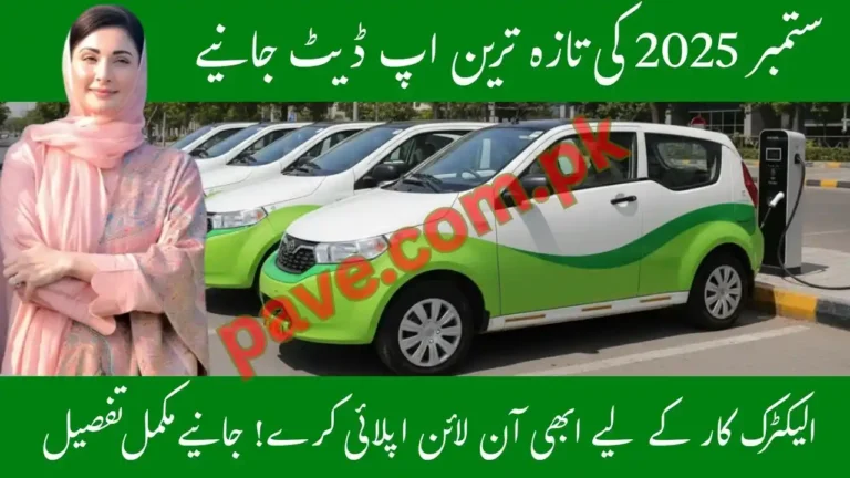 Chief Minister Punjab Electric Car Scheme Register Now & Earn 1 Lakh Rupees 5 Chief Minister Punjab Electric Car Scheme