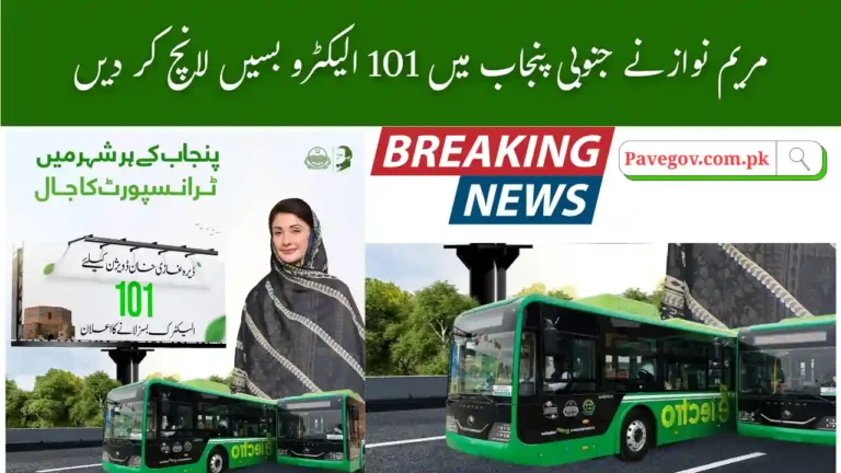 Maryam Nawaz Launches 101 Electro Buses in South Punjab October 2025 3 Maryam Nawaz Launches 101 Electro Buses in South Punjab 2025