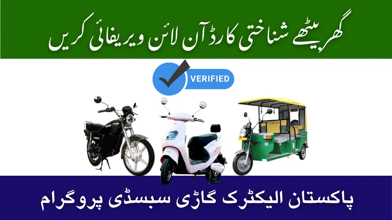 PAVE CNIC Verification