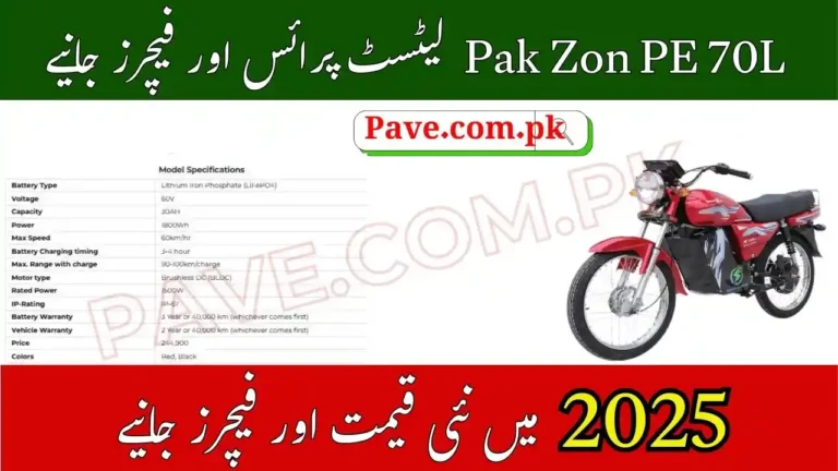 Pak Zon PE 100L: The Best Value Electric Bike for Pakistani Roads 8 Pak Zon PE 100L