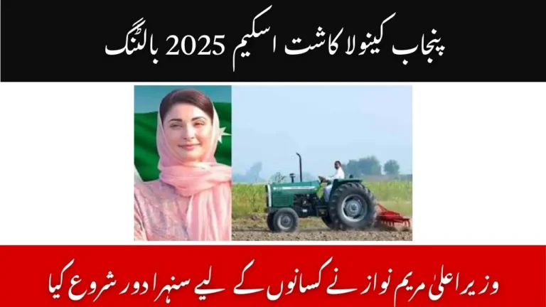 Punjab Canola Cultivation Scheme 2025 Balloting – CM Maryam Nawaz Ushers in a Golden Era for Farmers 7 Punjab Canola Cultivation Scheme 2025 Balloting