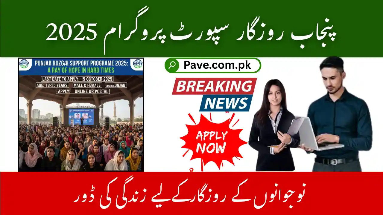 Punjab Rozgar Support Programme 2025