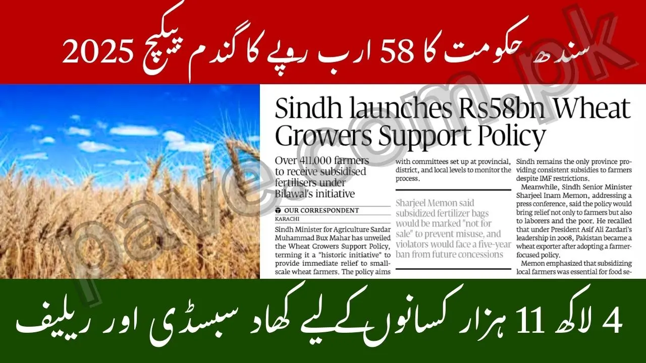 Sindh Govt Rs58bn Wheat Package 2025
