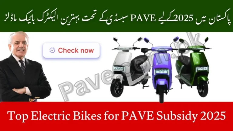 Top Electric Bikes for PAVE Subsidy Phase 2 2025 – December Best Performance EVs in Pakistan 2 Top Electric Bikes for PAVE Subsidy 2025