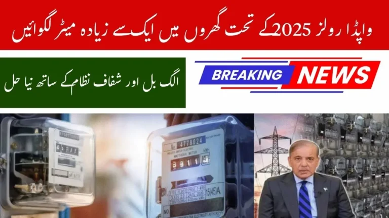 WAPDA Rules 2025 on Installing More Than One Electricity Meter at Home