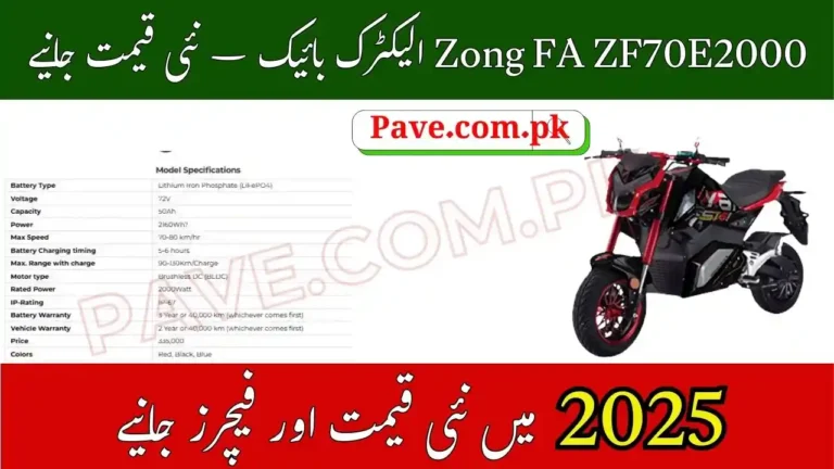 Zong FA ZF70E2000: Affordable and Efficient Electric Bike for Daily Use 4 Zong FA ZF70E2000