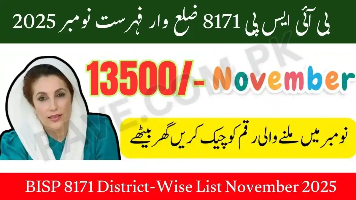 BISP 8171 District-Wise List November 2025