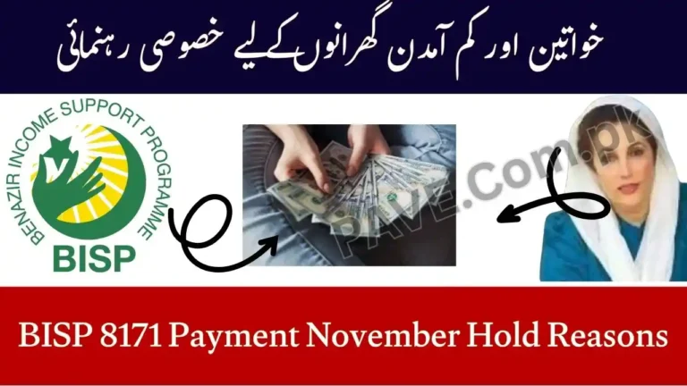 BISP 8171 Payment November Hold Reasons