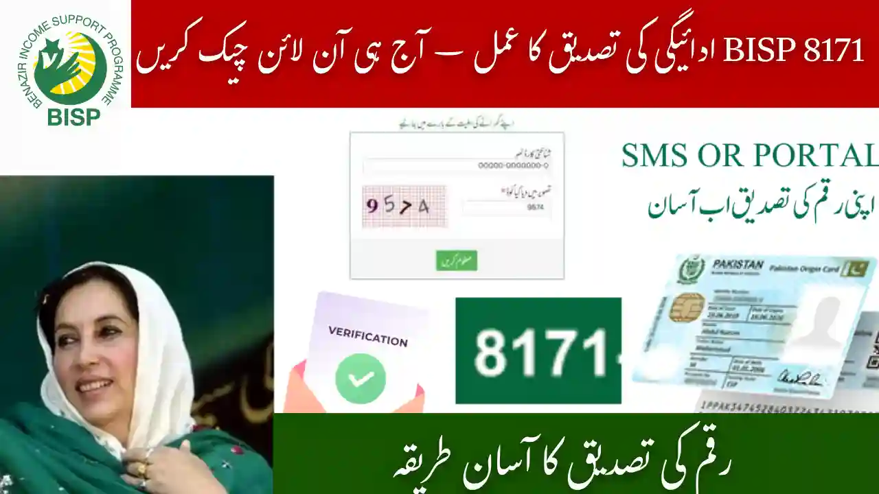 BISP 8171 Payment Verification Process