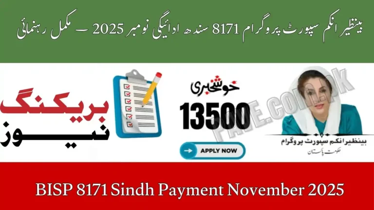 BISP 8171 Sindh Payment November 2025