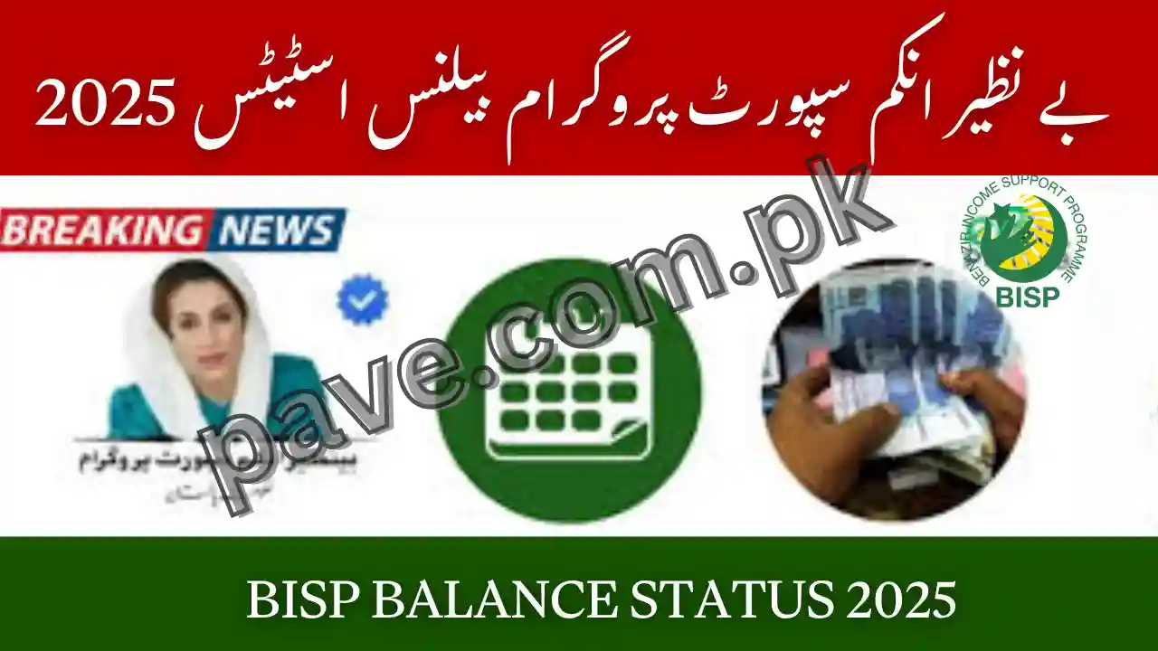 BISP Balance Status 2025 – How to Check October Payment Via CNIC 1 BISP Balance Status 2025