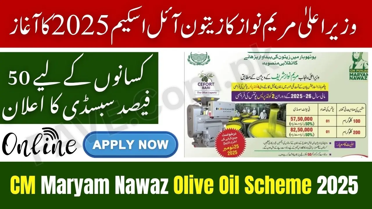 CM Maryam Nawaz Launches Olive Oil Scheme 2025