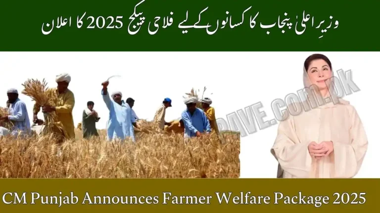 Breaking News: CM Punjab Announces Farmer Welfare Package 2025 – Big Relief for Kisans 3 CM Punjab Announces Farmer Welfare Package 2025