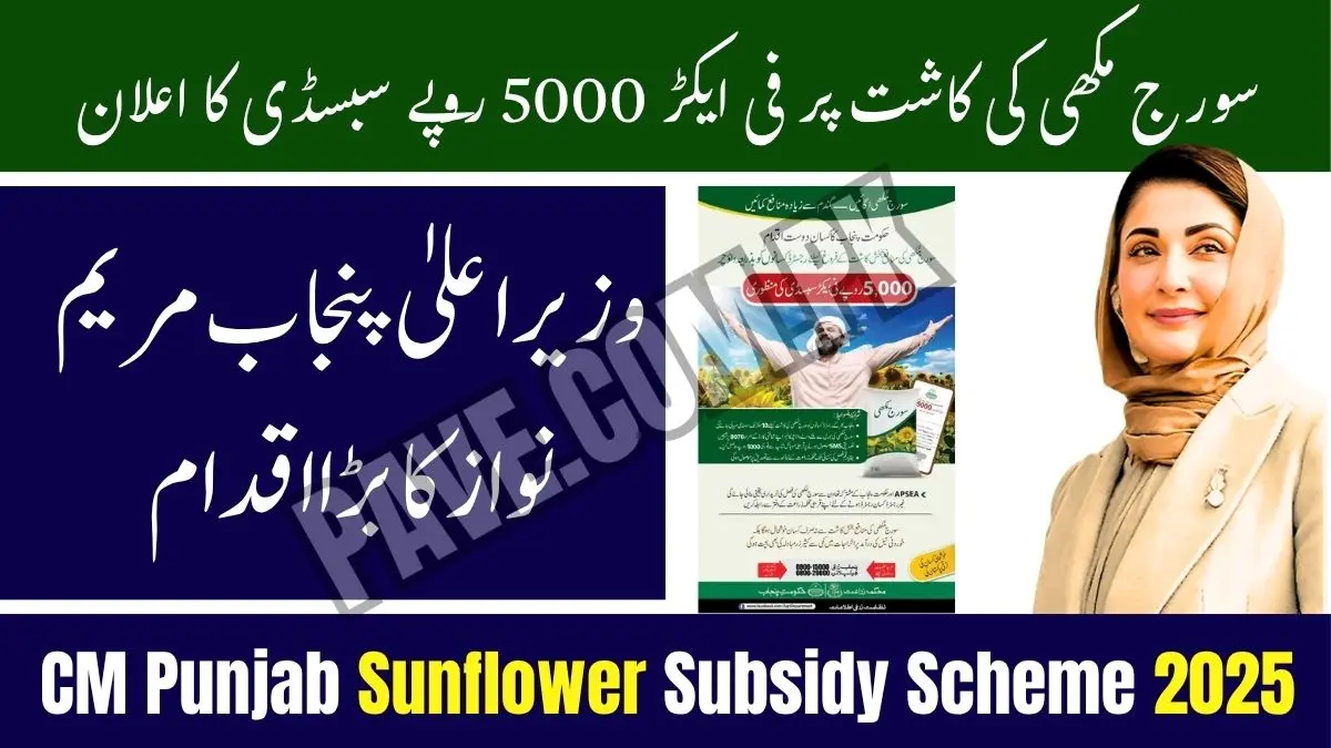 CM Punjab Announces Rs 5000 Sunflower Subsidy Scheme 2025