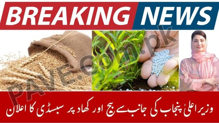 Breaking: CM Punjab Announces Seed and Fertilizer Subsidy 2025 for Farmers 10 CM Punjab Announces Seed and Fertilizer Subsidy 2025 for Farmers