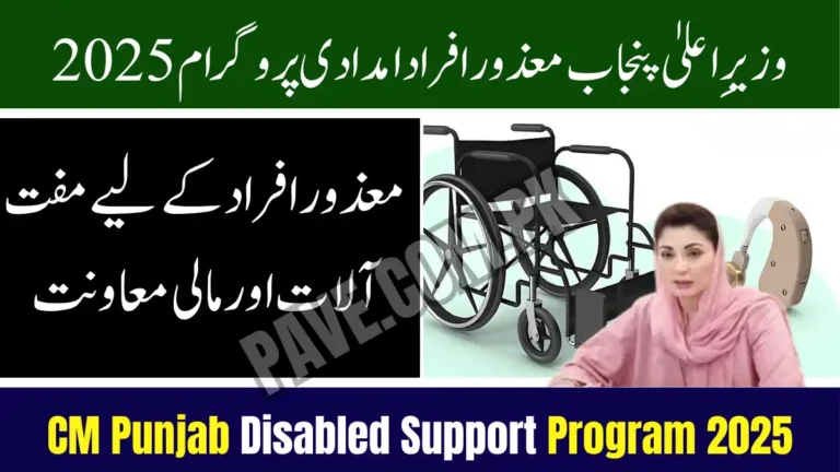 CM Punjab Disabled Support Program 2025