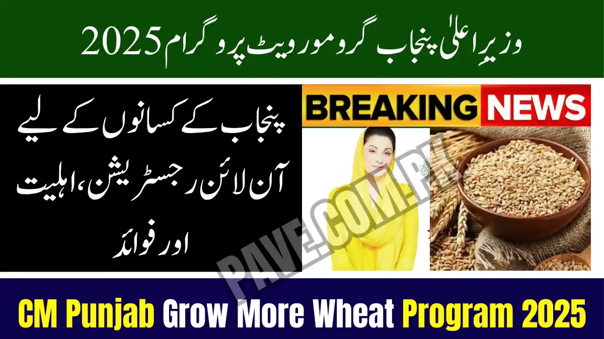 CM Punjab Grow More Wheat Program 2025 – Online Registration, Eligibility & Benefits for Punjab Farmers 1 CM Punjab Grow More Wheat Program 2025