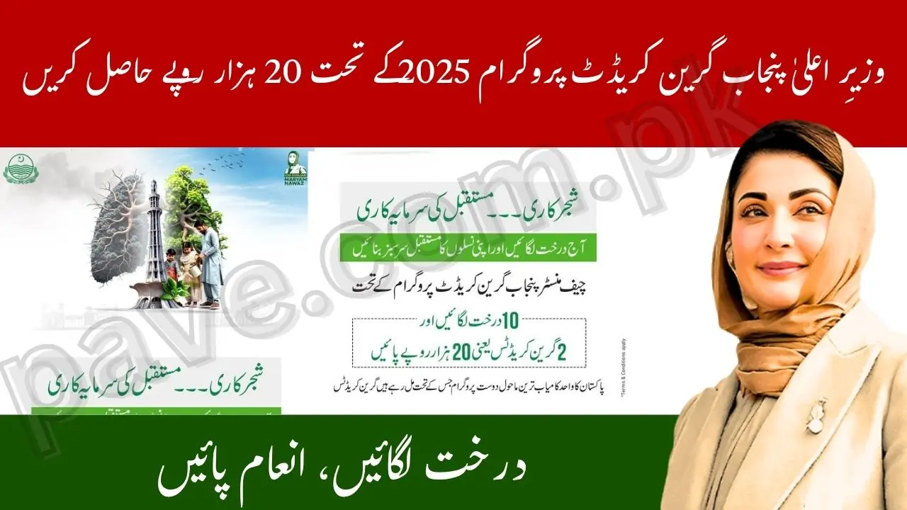 Breaking News: CM Punjab Launches Green Credit Program 2025 Plant 10 Trees and Get Rs 20000 Reward 1 CM Punjab Launches Green Credit Program 2025 Plant 10 Trees and Get Rs 20000 Reward