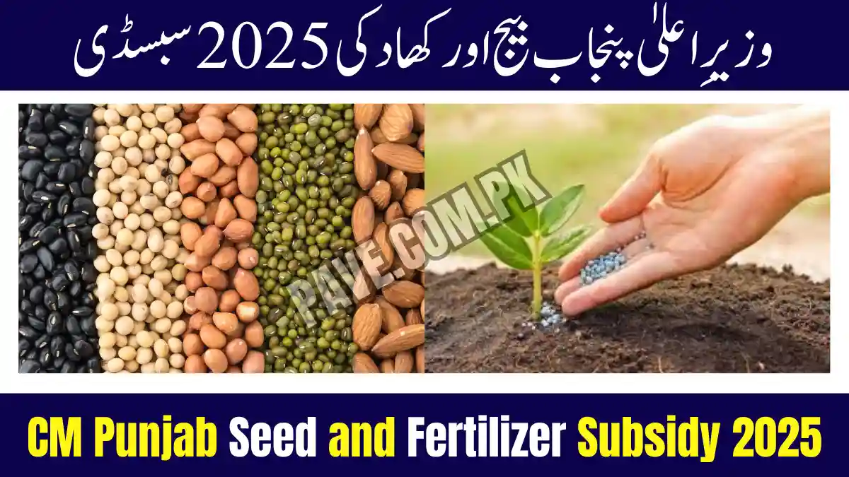 CM Punjab Seed and Fertilizer Subsidy 2025 - Complete Details 1 CM Punjab Announces Seed and Fertilizer Subsidy Scheme 2025
