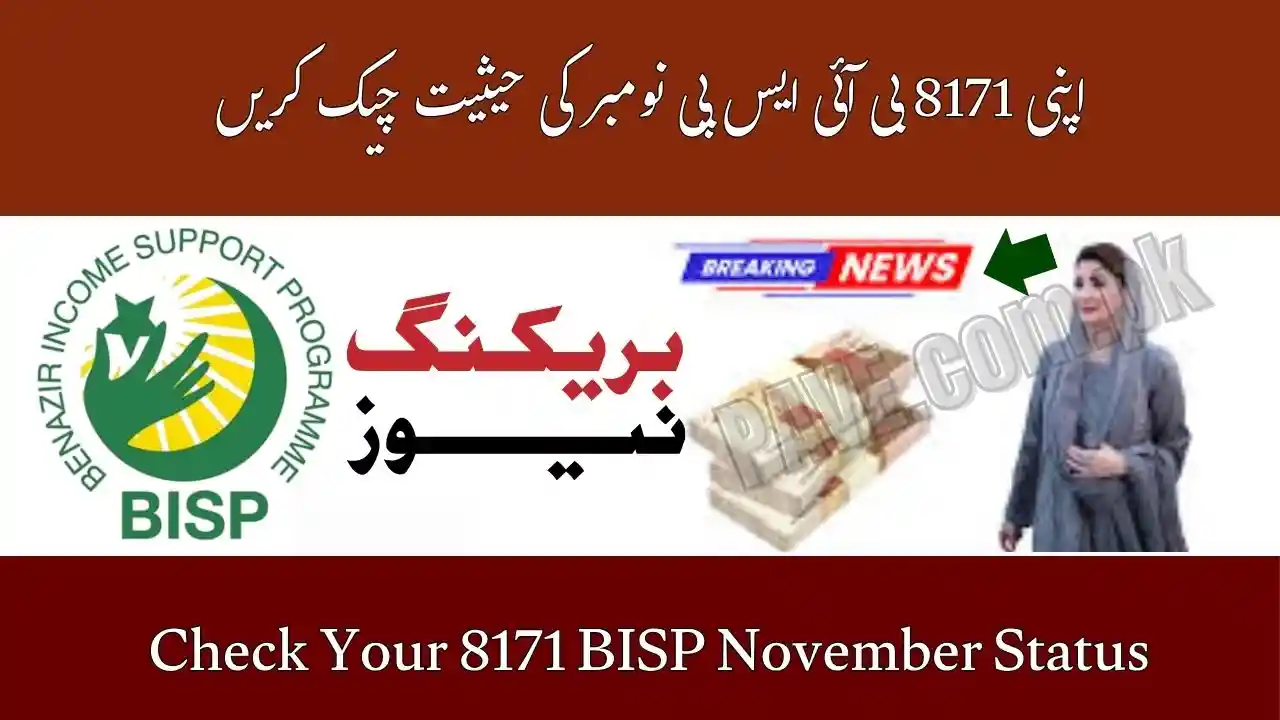 Check Your 8171 BISP November Status by CNIC Update 1 Check Your 8171 BISP November Status