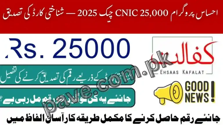 Ehsaas Program 25000 CNIC Check 2025