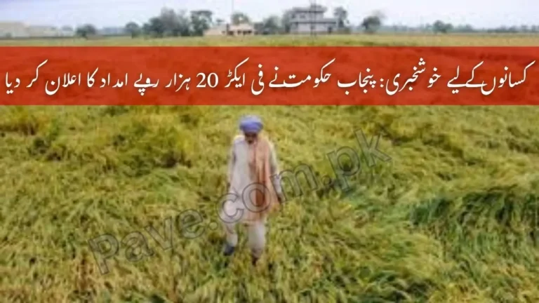 Farmers in Punjab to Receive Rs 20000 Per Acre for Crop Loss Compensation 4 Farmers in Punjab to Receive Rs 20000 Per Acre for Crop Loss Compensation