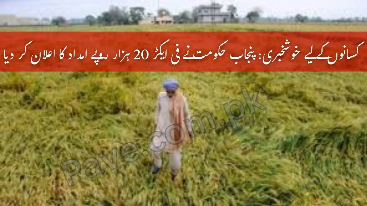 Farmers in Punjab to Receive Rs 20000 Per Acre for Crop Loss Compensation 1 Farmers in Punjab to Receive Rs 20000 Per Acre for Crop Loss Compensation