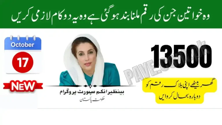 Fix BISP Payment Block Caused by Tax Record Issues Quick Solutions