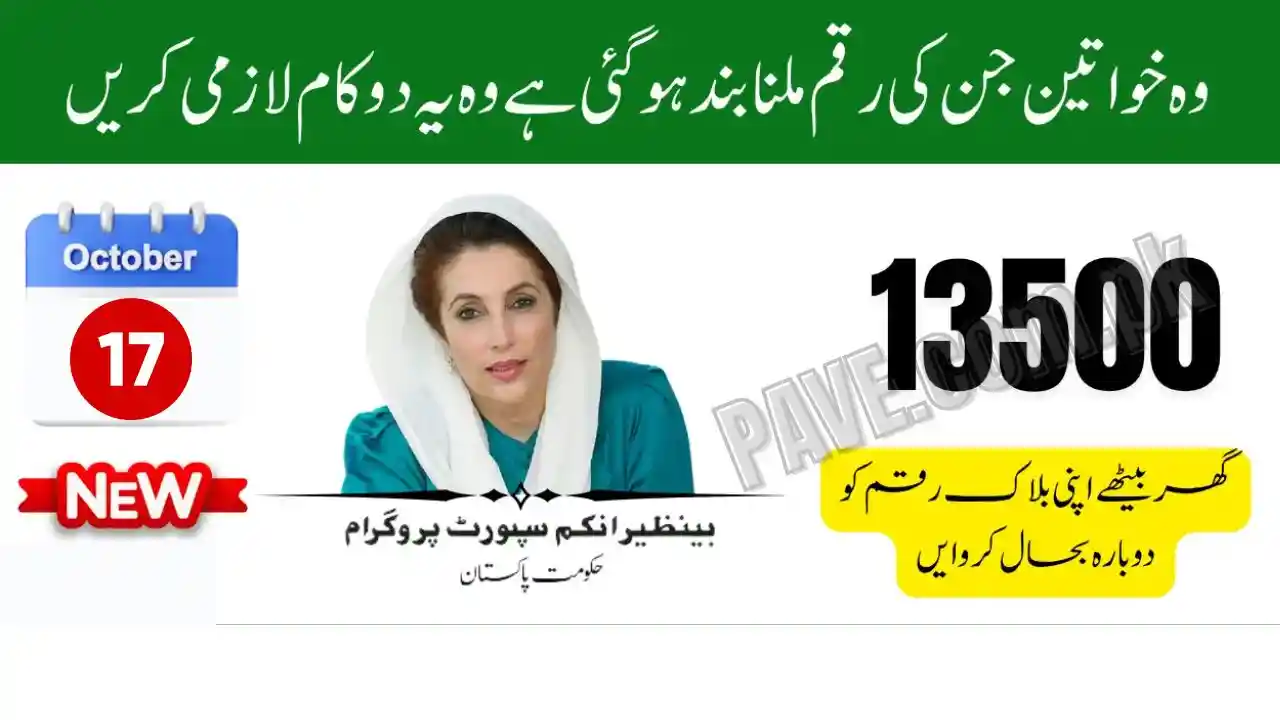 Fix BISP Payment Block Caused by Tax Record Issues Quick Solutions 1 Fix BISP Payment Block Caused by Tax Record Issues Quick Solutions