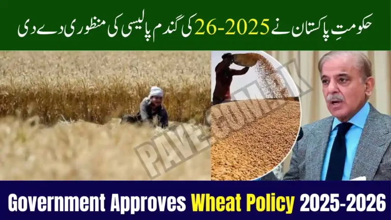 Government Approves Wheat Policy 2025–2026