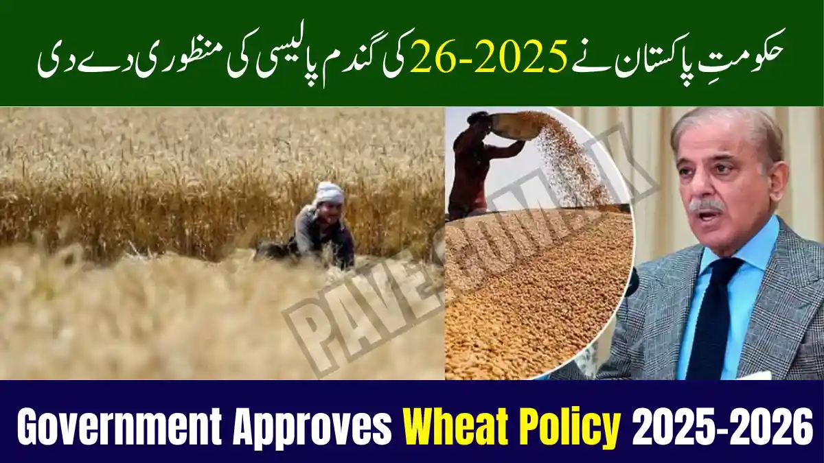 Government Approves Wheat Policy 2025–2026