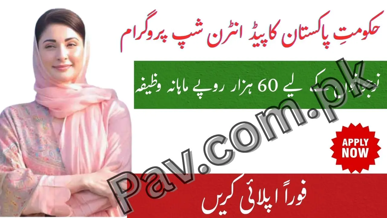 Government of Pakistan Announces Paid Internship Program 2025