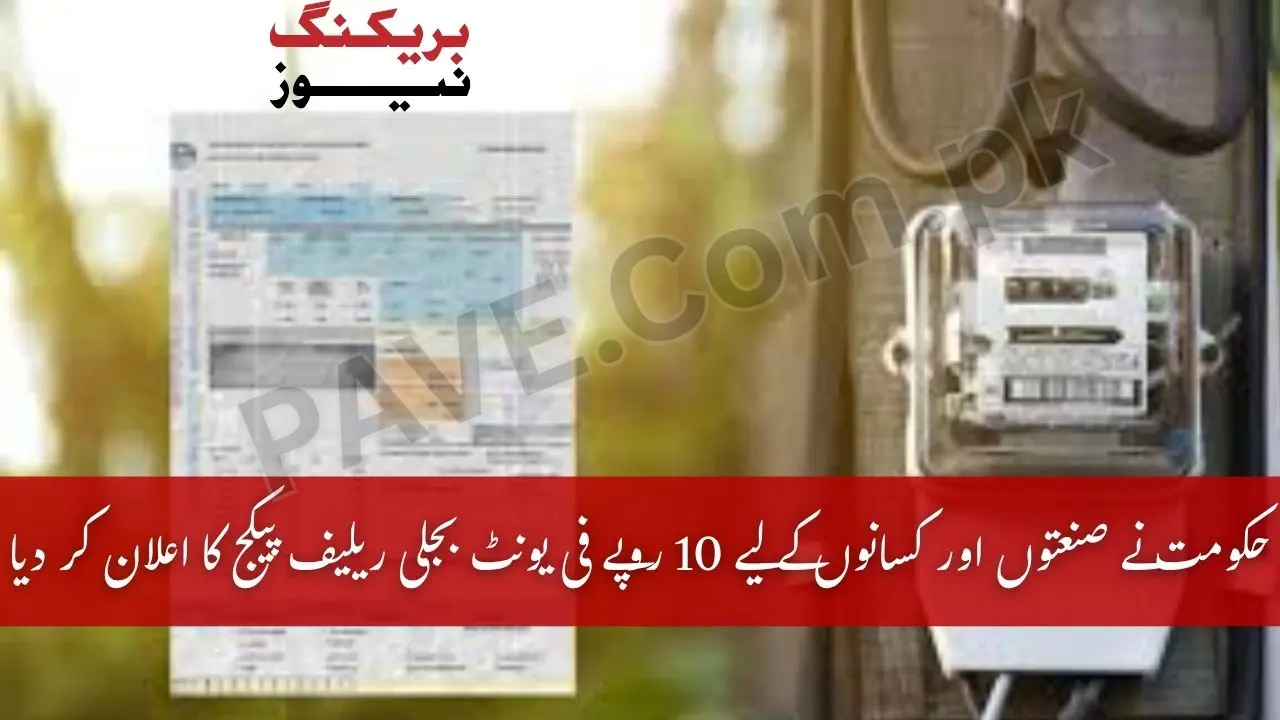 Govt Announces Rs 10 Per Unit Power Relief Plan 2025