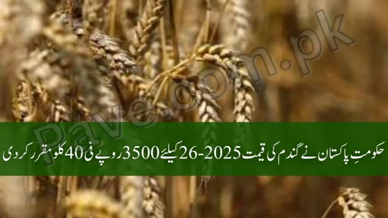 Breaking News: Govt Finalizes Wheat Procurement Rate 2025-26 at Rs 3500 5 Govt Finalizes Wheat Procurement Rate 2025-26 at Rs 3500