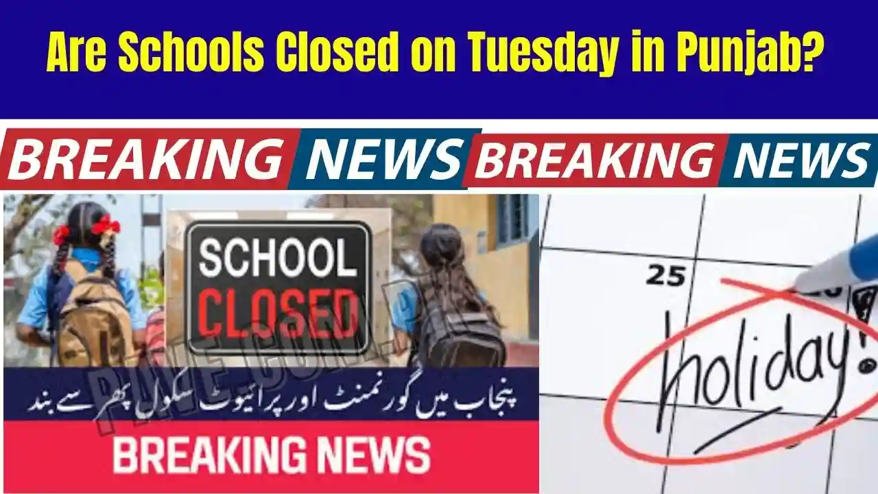 Important Updates: Are Schools Closed on Tuesday in Punjab? Government Issues Update 1 Are Schools Closed on Tuesday in Punjab? Government Issues Update