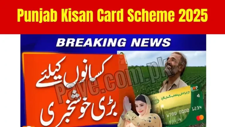 Announcement: Punjab Kisan Card Scheme 2025 – Apply Online for Easy Agriculture Loans and Subsidies 8 Apply Online PM Electric Bike and Rikshaw Scheme 2025