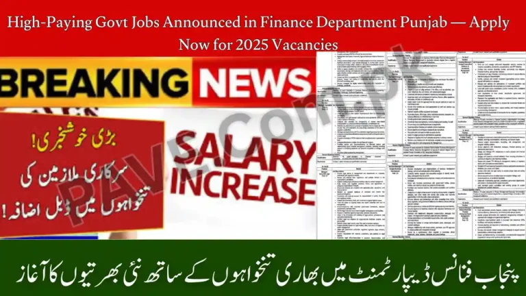 High-Paying Govt Jobs Announced in Finance Department Punjab