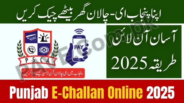 How to Check Punjab E-Challan Online 2025