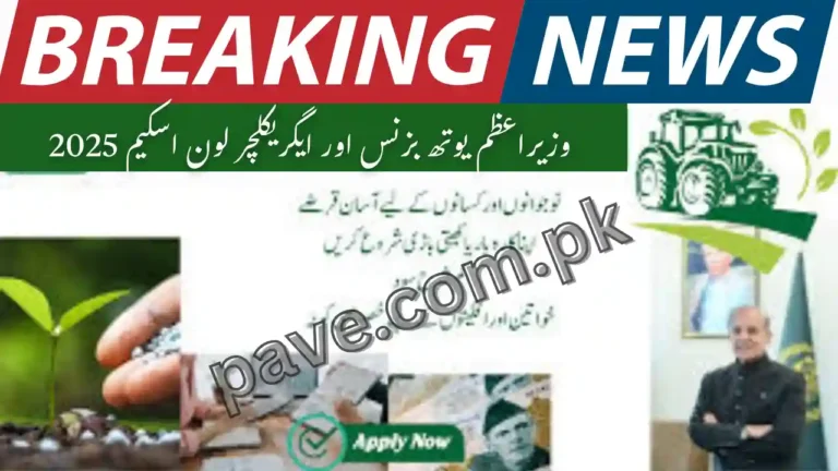 PM Youth Business & Agriculture Loan Scheme 2025 Apply now 6 PM Youth Business & Agriculture Loan Scheme 2025