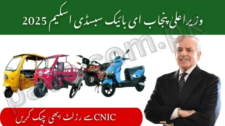 Pakistan Accelerated Vehicle Electrification Result 2025