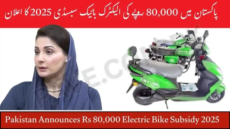 Pakistan Announces Rs 80,000 Electric Bike Subsidy 2025 6 Pakistan Announces Rs 80,000 Electric Bike Subsidy 2025