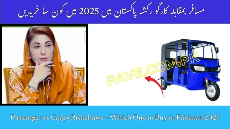Passenger vs Cargo Rickshaws – Which One to Buy in Pakistan 2025 9 Passenger vs Cargo Rickshaws – Which One to Buy in Pakistan 2025