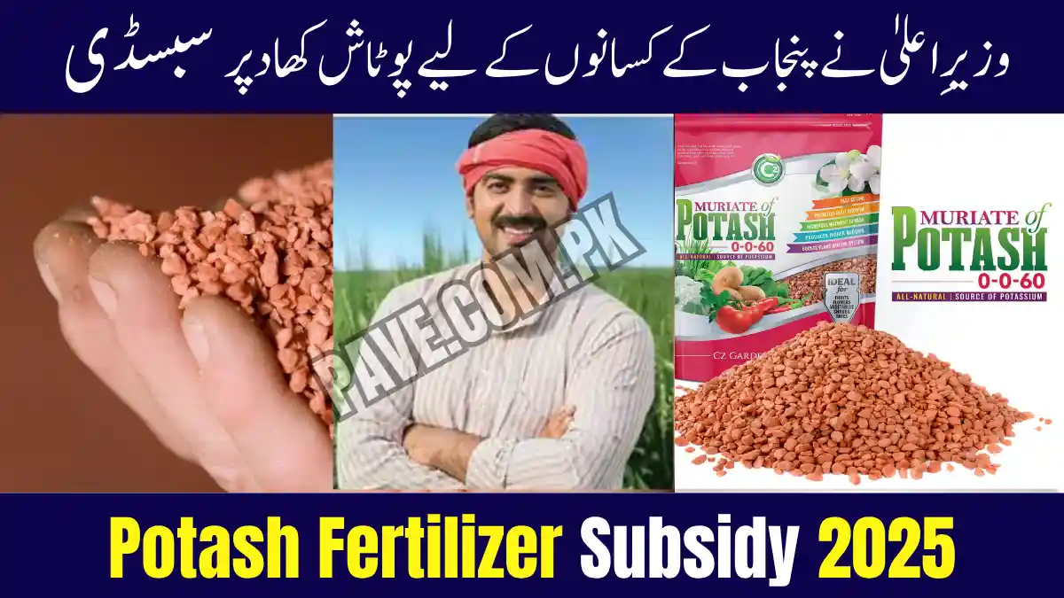 CM Announces Potash Fertilizer Subsidy 2025 for Punjab Farmers 1 CM Punjab Announces Potash Fertilizer Subsidy 2025