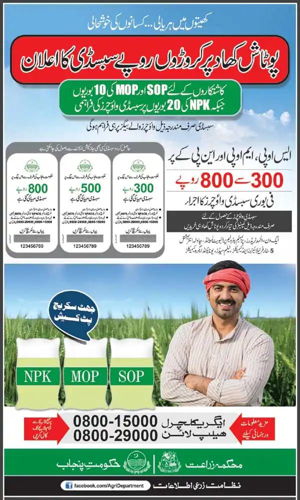 CM Announces Potash Fertilizer Subsidy 2025 for Punjab Farmers 6 Potash MOP SOP subsidy Punjab