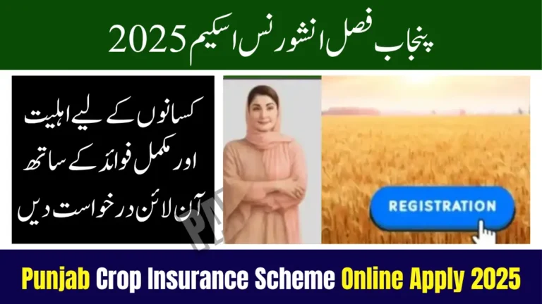 Punjab Crop Insurance Scheme Online Apply 2025 – Eligibility & Full Benefits for Farmers 8 Punjab Crop Insurance Scheme Online Apply 2025