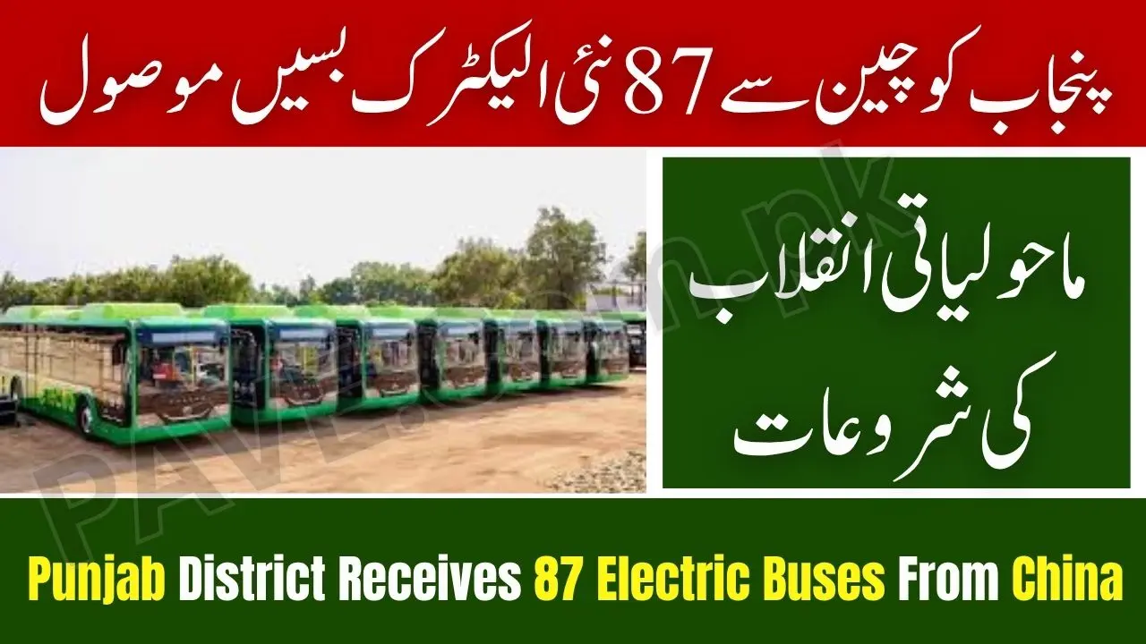 Punjab District Receives 87 Electric Buses From China — Green Transport Revolution Begins 1 Punjab District Receives 87 Electric Buses From China