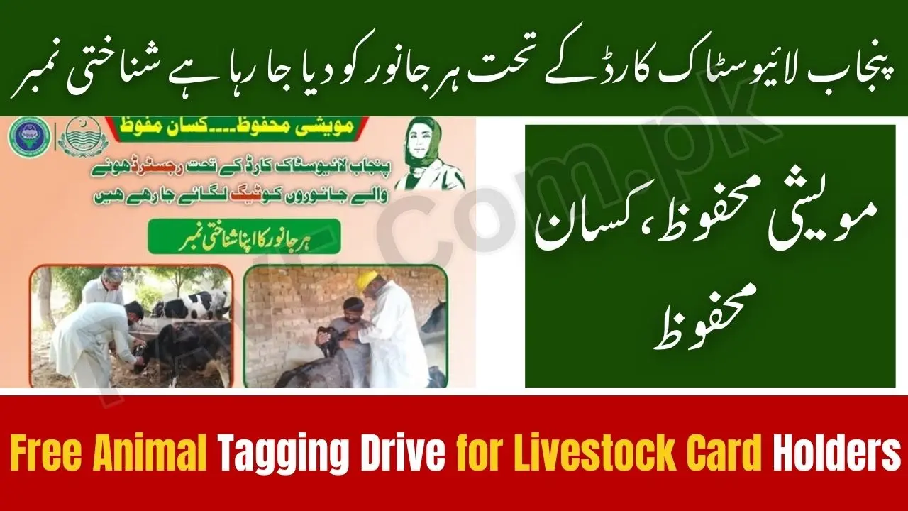 Punjab Govt Launches Free Animal Tagging Drive for Livestock Card Holders 1 Punjab Govt Launches Free Animal Tagging Drive for Livestock Card Holders