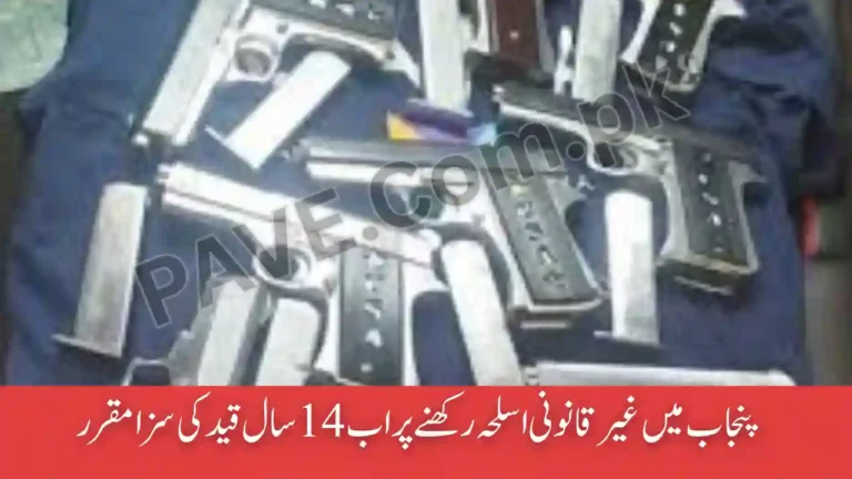 14-Year Jail Now Set for Illegal Weapon Possession in Punjab 3 Punjab Illegal Weapons Punishment